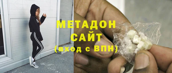 индика Алексин