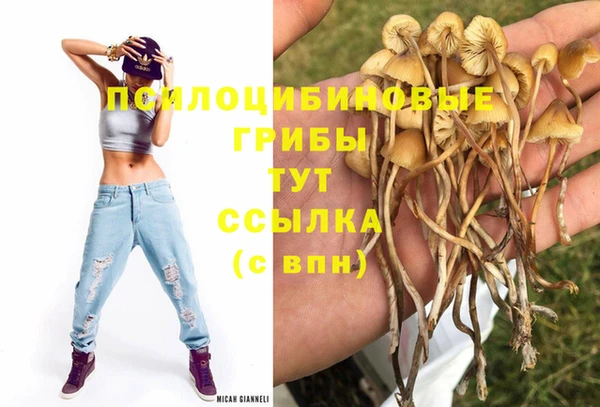 соль курить ск Алзамай