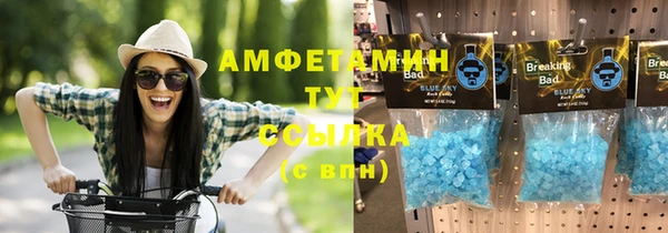 индика Алексин